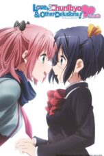 Chuunibyou demo Koi ga Shitai! Ren (Love, Chunibyo & Other Delusions!: Heart Throb) (2014)