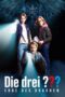 Nonton Film The Three Investigators and The Legacy of the Dragon (2023) Nonton Film The Three Investigators and The Legacy of the Dragon (2023)