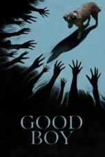 Good Boy (2025) Good Boy (2025)